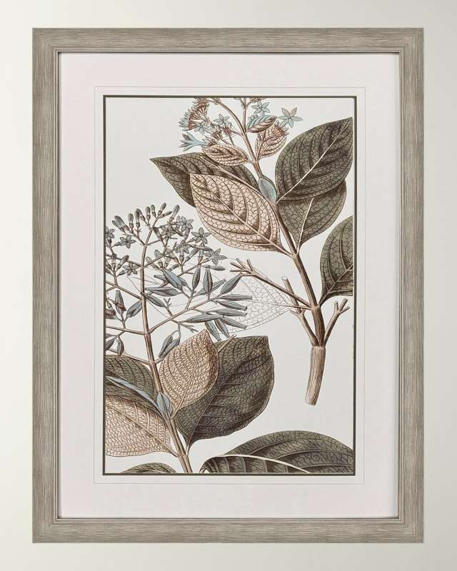 "Flowering Botanical III" Framed Giclee on Paper
